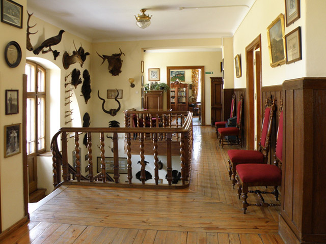 Zdjęcie przedstawia korytarz na piętrze starego domu, widać schody i drewnianą podłogę. Ściany zdobią poroża zwierząt i obrazy. Widać wiele drzwi.